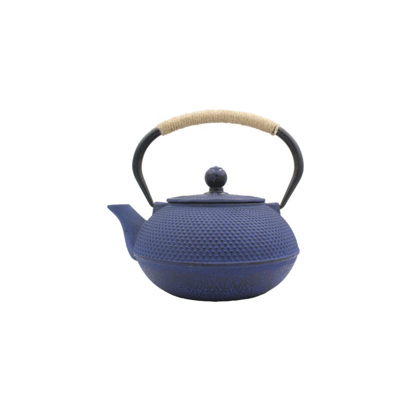 Théière En Fonte Bleue Sapporo TheKitchenette Avec 2 Tasses - 0.6 L - Style Japonais