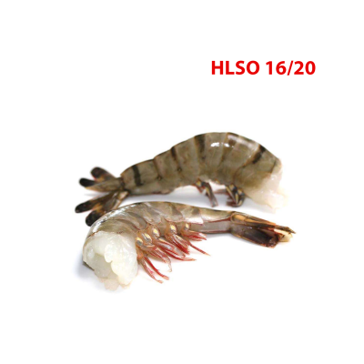 エビBT、頭付き、殻付き、60%、16-20尾、淨重1.08kg