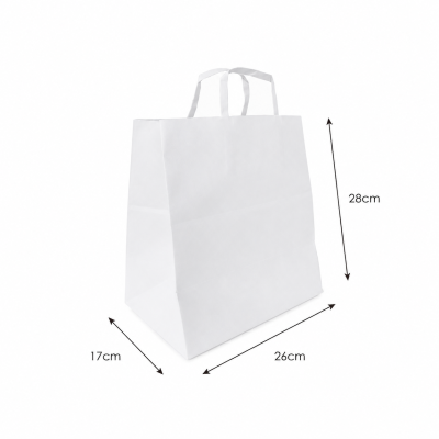Sacchetto di carta kraft con maniglia piatta marrone TMM 120g 250pz