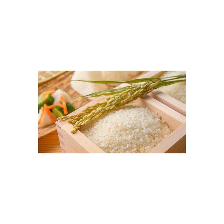 Découvrez notre sélection de riz de qualité supérieure pour sublimer vos plats